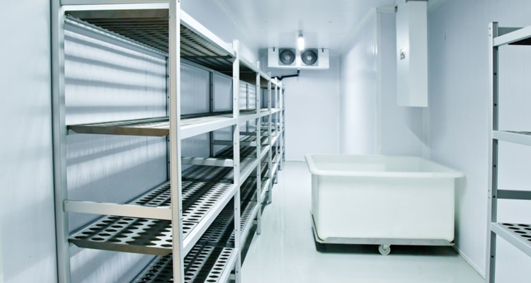 Out In The Cold | Finance for Freezer Room | Asset Finance for Cold Room