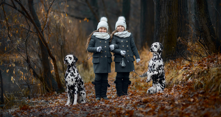 Apply For Another CBILS | Can I Apply For CBILS Again | Help With CBILS Application