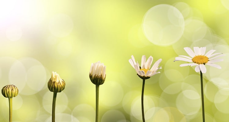 Business Loan In 5 Simple Steps | What You Need To Apply For A Business Loan | Help With Business Loan