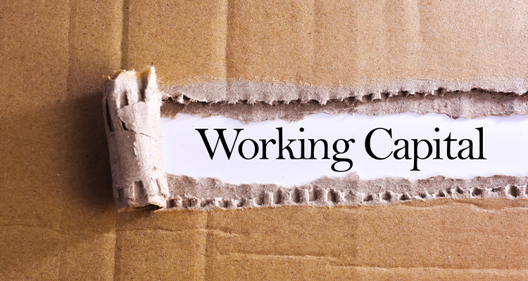 Working Loan Capital | Business Loan for Working Capital | Business Finance | Advice on Raising Working Capital