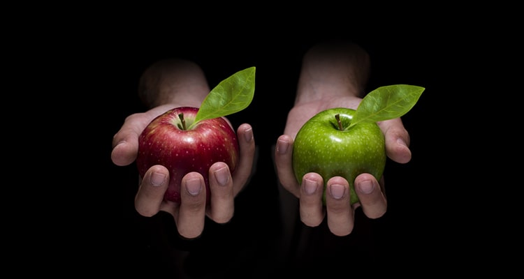 How Does RLS Compare to CBILS | Comparing Recovery Loan Scheme with CBILS