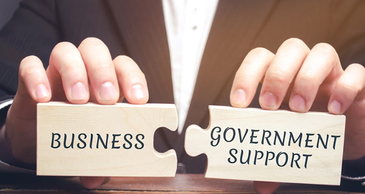 EFG Loan | Enterprise Finance Guarantee Loan | EFG Loan Application