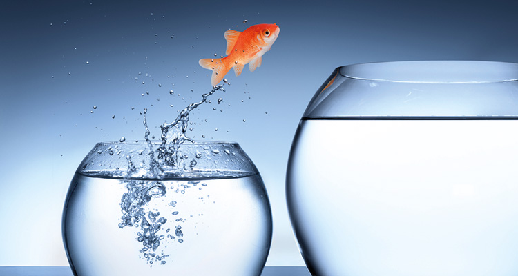 Some lenders are changing their approach, but do they really have to | Business Finance Help | Change in Business Finance