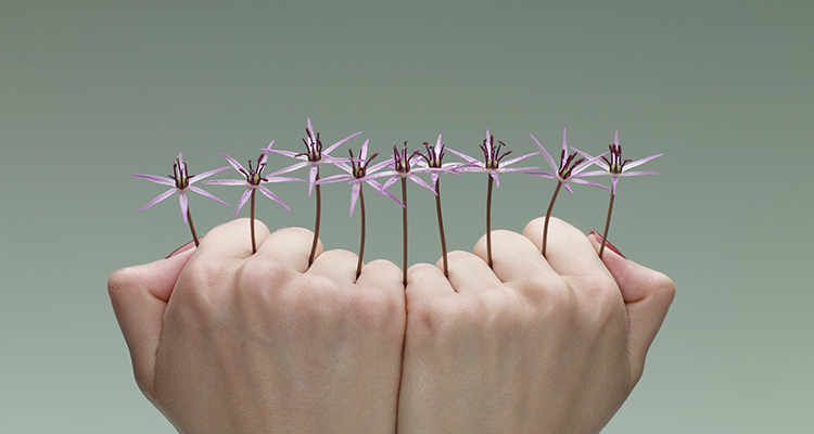 Complete Your Financial Review | Help with Business Financial Review | Business Asset Finance