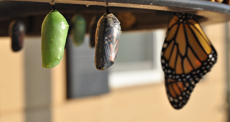 Explaining Invoice Finance | Help with Invoice Finance | Invoice Finance Specialists Oxford