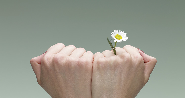 Use asset finance for business growth