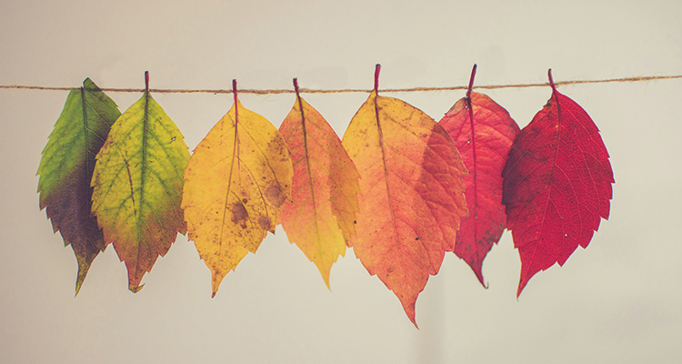 Explaining Receivables Finance