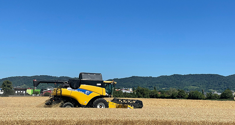 Supporting Agricultural Innovation