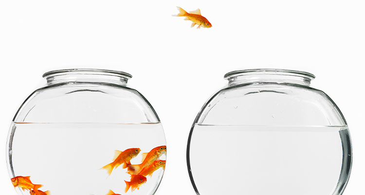 Supporting Growth Through Acquisition