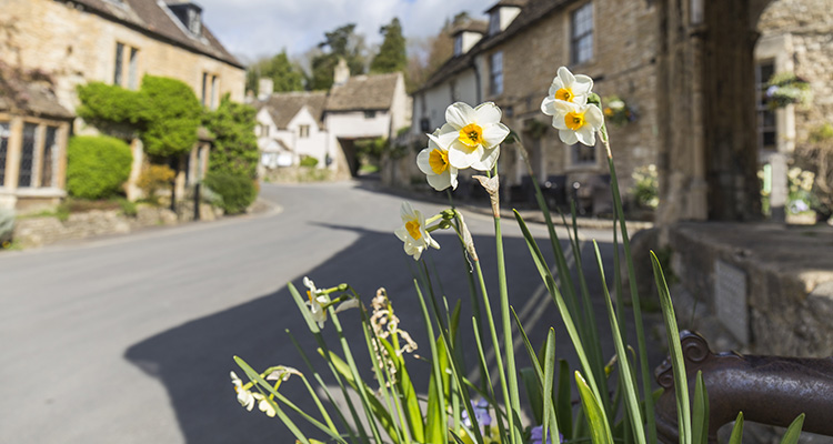 Investing in local businesses