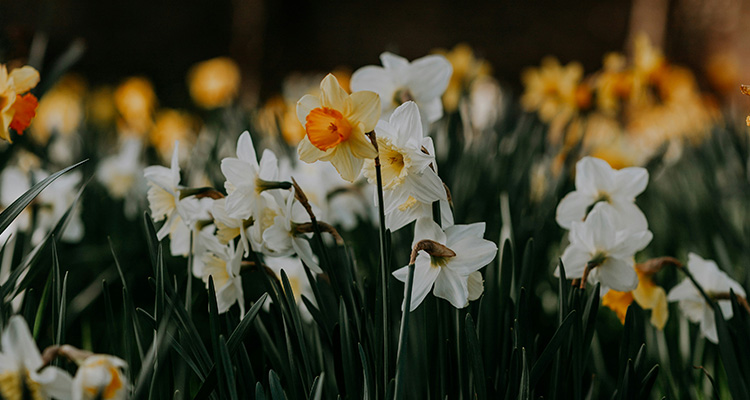 Spring budget 2025: Key takeaways for UK businesses and how they impact your finance options