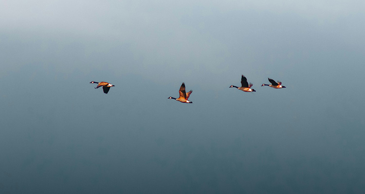 Planning for expansion business? Here's how to align your finance options