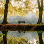 Seasonal cash flow gaps, how to stay financially stable in Q4