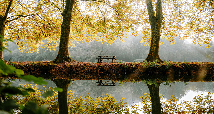 Seasonal cash flow gaps, how to stay financially stable in Q4