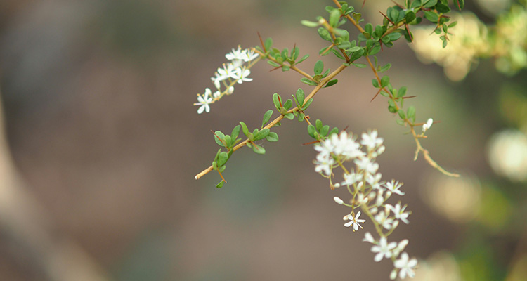 How lenders assess business finance applications